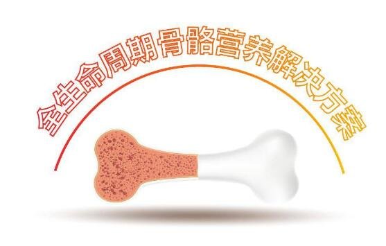 從百立樂維生素AD到CBPS，論全生命周期骨骼健康營養(yǎng)方案