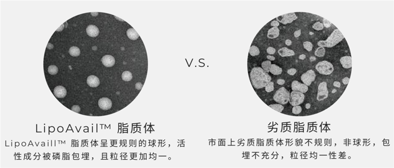 攝入量≠吸收量，如何讓營(yíng)養(yǎng)素生物利用度實(shí)現(xiàn)10倍、100倍提升